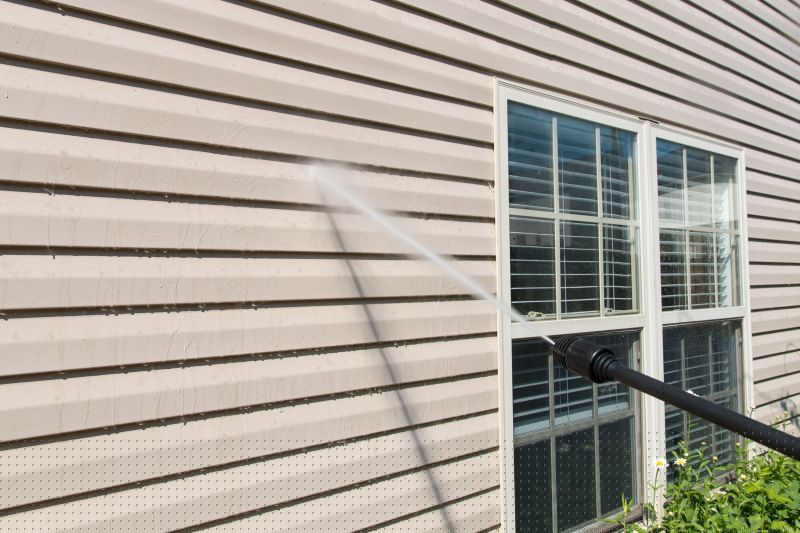 Vinyl Siding Cleaning